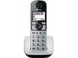 DECT Panasonic KX-TGE510RUS / Silver