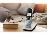 DECT Panasonic KX-TGE510RUS / Silver