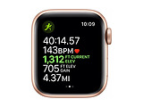 Apple Watch 5 40mm GPS / Gold