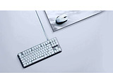 Razer Keyboard Mechanical BlackWidow Lite Mercury Ed. Orange Switch RZ03-02640700-R3M1 / White