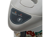 Polaris PWP2821