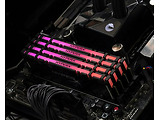 Kingston HyperX Predator RGB HX436C17PB4A/8 8GB DDR4 3600 / RGB