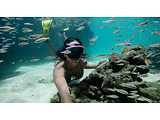GoPro Protective Housing HERO8 Black / GP_AJDIV-001