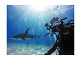 GoPro Protective Housing HERO8 Black / GP_AJDIV-001