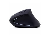 Gembird MUSW-ERGO-01 Wireless Mouse / Black