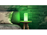 Xiaomi Mijia ZhiRui Lamp