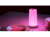 Xiaomi Mijia ZhiRui Lamp