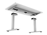 FlexiSpot Adjustable Desk ET223 / White
