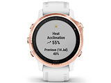 Garmin Fenix 6S Pro 010-02159-11