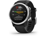 Garmin Fenix 6S / 010-02159-01