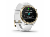 Garmin Approach S40 / 010-02140 / White