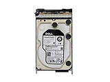 HITACHI Rainier HNWHH Enterprise 1.0TB / 3.5'' /