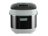 TEFAL RK805E32 / Silver
