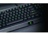 Razer Cynosa Lite Chroma / RZ03-02741500-R3R1 / Black