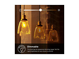TP-LINK KL60 Kasa Filament Smart Bulb 5W 450 lumens