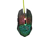 Qumo Solaris / 21510 / Black