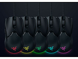 Razer Viper Mini / RZ01-03250100-R3M1 / Black