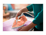 Philips GC2671/50 / Pink