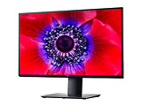 DELL UltraSharp U2520D / 25.0" IPS 2560x1440 Borderless / Black