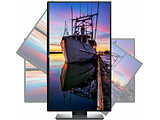 DELL UltraSharp U2520D / 25.0" IPS 2560x1440 Borderless / Black