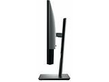 DELL UltraSharp U2520D / 25.0" IPS 2560x1440 Borderless / Black