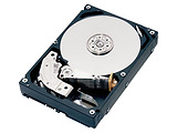 WesternDigital Red NAS WD140EFFX
