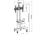 CHARMOUNT CT-FTVS-T16 Mobile Stand for Displays 32-70" / Black