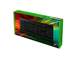 Razer Cynosa Lite / RZ03-02740600-R3M1 / English