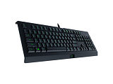 Razer Cynosa Lite / RZ03-02740600-R3M1 / English