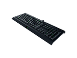 Razer Cynosa Lite / RZ03-02740600-R3M1 / English
