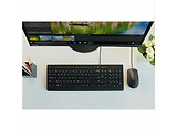 Lenovo Essential Wired Keyboard + Mouse / 4X30L79912 / Black