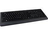 Lenovo ThinkPad Professional Wireless Keyboard and Mouse Combo 4X30H56821 / Black