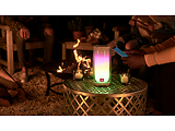 JBL Pulse 4 / White