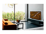 LG OLED55CXRLA / 55" OLED 4K UHD 120 Hz Smart TV webOS 5,0 / Black
