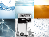 Transcend TS256GUSD330S 256GB MicroSD /