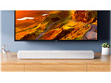 Xiaomi Mi TV Speaker /