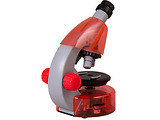 Levenhuk LabZZ M101 Orange Microscop /