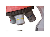 Levenhuk LabZZ M101 Orange Microscop /