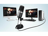 AVerMedia USB Microphone - AM310 / Black