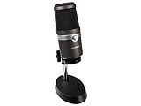 AVerMedia USB Microphone - AM310 / Black