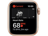 Apple Watch SE 40mm Gold Aluminum Case with Pink Sand Sport Band / Pink