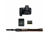 CANON EOS R6 Body 4082C044 / Black