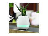 Helmet MUSIC FLOWERPOT / White
