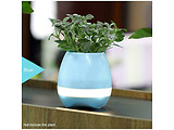 Helmet MUSIC FLOWERPOT / Blue