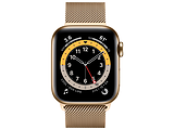 Apple Watch Series 6 GPS + Cellular 40mm Gold Stainless Steel Case with Gold Milanese Loop / Gold