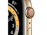 Apple Watch Series 6 GPS + Cellular 40mm Gold Stainless Steel Case with Gold Milanese Loop / Gold