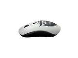 Canyon CND-CMSW401 Wireless Mouse / Grey