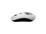 Canyon CND-CMSW401 Wireless Mouse / Silver