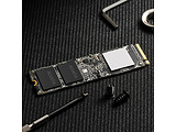 ADATA XPG SX8100 / M.2 NVMe 256GB