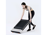 Xiaomi WalkingPad /